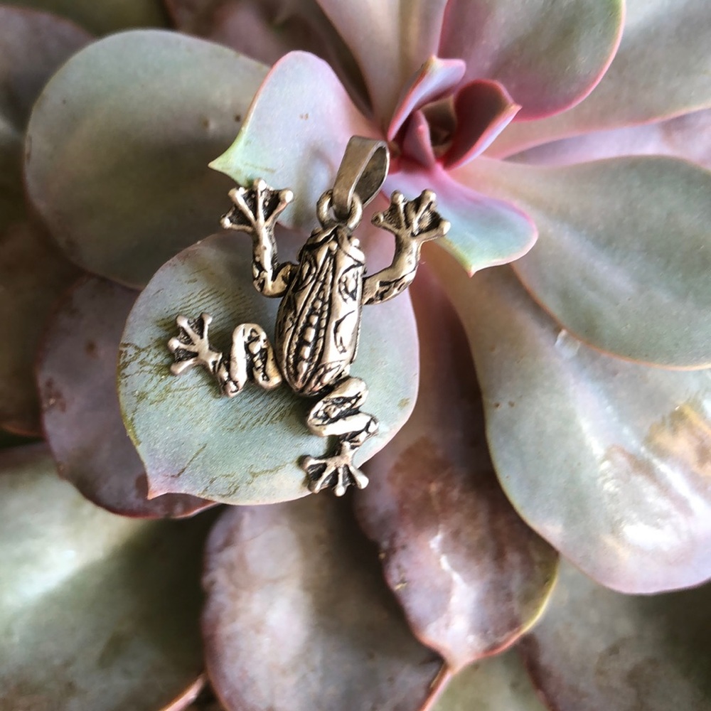 Adorable intricate frog pendant.